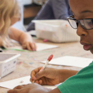 ED&I in the Education Sector