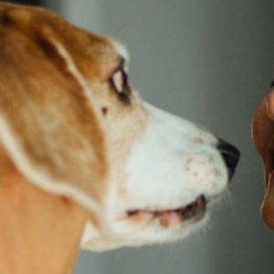 How can organisations better support their employees’ mental health banner image