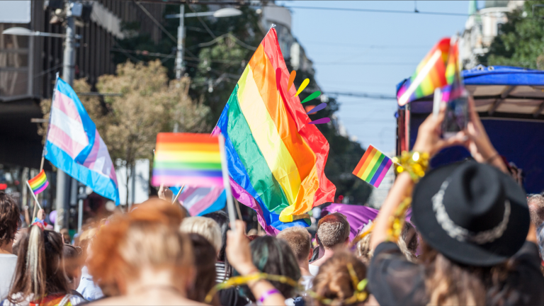 n June 2024, In Diverse Company hosted a virtual roundtable discussion ” LGBTQIA+ Inclusion – A Global Perspective”. IIndustry experts globally joined us to explore the dynamic and evolving landscape of LGBTQIA+ rights and inclusion worldwide, how organisations and leaders navigate this in their global operations, and how they pave the way for change in the wake of the current situation - banner image