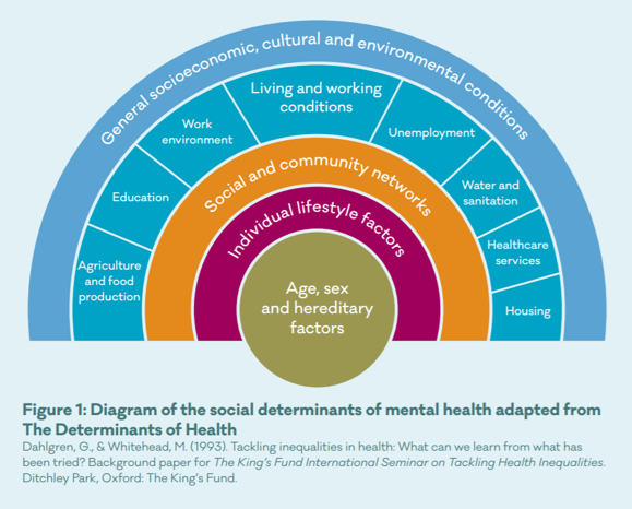 Diagram of the social determinants of mental health adapted from The Determinants of Health