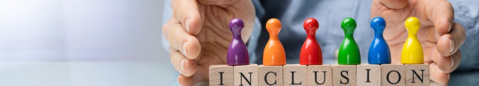 Defining Inclusion over Diversity - visual